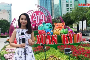 Đường hoa tết Kỷ Hợi 2019: Ngày xuân khoe sắc…