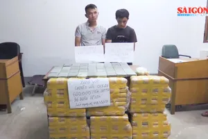 Chặt đứt đường dây vận chuyển 600.000 viên ma túy và 36 bánh heroin từ Lào về Việt Nam