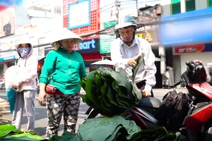 "Chợ" lá dong “độc nhất” TPHCM - Nhộn nhịp ngày giáp tết