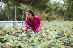 Á hậu Thủy Tiên quảng bá du lịch Đồng Tháp