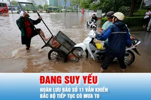 Podcast bản tin tối 7-10: Nguyên nhân mưa to trên diện rộng ở Bắc bộ