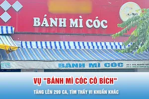 Podcast bản tin trưa 12-11: Vụ "Bánh mì cóc cô Bích": Tăng lên 299 ca, tìm thấy vi khuẩn khác