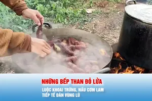 Podcast bản tin 17 giờ 22-11: Những bếp than đỏ lửa mang hơi ấm đến bà con vùng bị ngập sâu do lũ lụt 