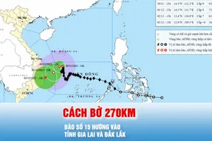 Podcast bản tin tối 30-11: Bão số 15 hướng về bờ biển phía Đông tỉnh Gia Lai-Đắk Lắk