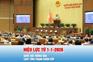 Podcast bản tin tối 3-12: Quốc hội thông qua Luật Tình trạng khẩn cấp, hiệu lực từ 1-1-2026