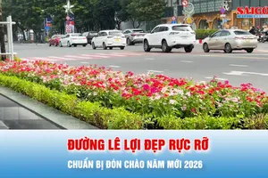 Podcast bản tin tối 29-12: Đường Lê Lợi đẹp lộng lẫy chuẩn bị đón chào năm mới 2026