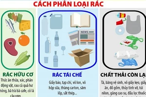 Phân loại rác tại nguồn, thiếu đồng bộ nên chất lượng kém