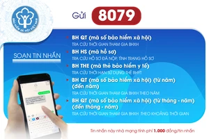 Người dân có thể tra cứu về bảo hiểm qua tổng đài 8079