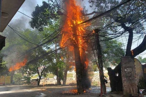 Phòng chống cháy do chập điện