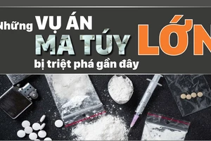 Những vụ án ma túy lớn bị triệt phá gần đây