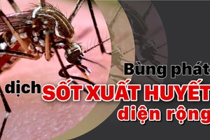 Bùng phát dịch sốt xuất huyết diện rộng