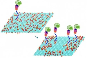 Hiệu quả của Graphene làm chất phụ gia động cơ