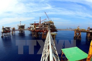 Illustrative image (Source: VNA)