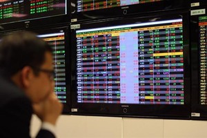 An investor at Vietcombank Securities Company. (Photo: VNA)