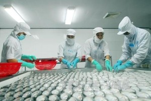 Seafood processed at Ngo Quyen Export JSC in Kien Giang for export to Australia. (Source: VNA)