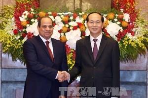 President Tran Dai Quang (R) and his Egyptian counterpart Abdel Fattah el-Sisi (Source: VNA)