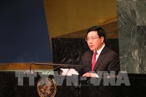 Deputy Prime Minister and Foreign Minister Pham Binh Minh (Photo: VNA)