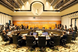 The 25th APEC Economic Leaders’ Meeting officially opened in Da Nang city on November 11 morning (Photo: VNA)