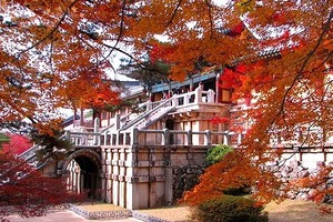  Bulguksa Temple in Gyeongju