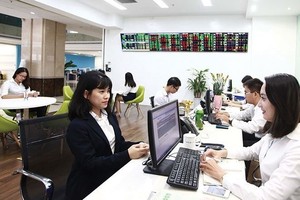 Vietnamese shares plunged on December 11 as investors turned cautious before exchange-traded funds (ETFs) started restructuring their portfolios (Photo: VNA)