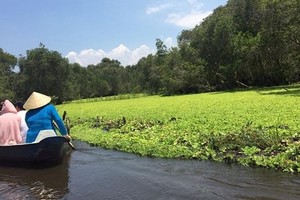 Tra Su cajuput forest in An Giang  (Photo: KK)