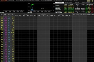 Illustrative image (Source: VNA)