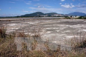 Bien Hoa Airport is considered as one of the dioxin hot spots in the country due to its high level of the chemical. (Source: VNA)