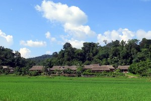Culture - tourism village in Tan Trao commune (Photo VNA)