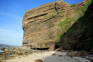Beach of fossilized corals on the coast of Ly Son Island,