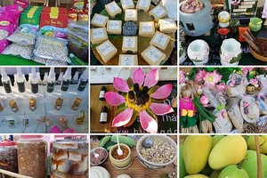Dong Thap culture promoted in HCMC