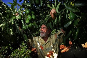 Illustrative image (Source: mercurynews)