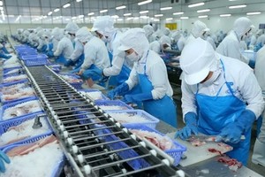 Illustrative image (Source: VNA)