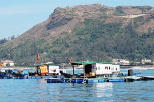 An aquatic farm is built in the sea off Ly Son Island. The central province of Quang Ngai has allocated funds to preserve and protect the Ly Son marine protected area for the 2018-22 period. (Source: VNA) 