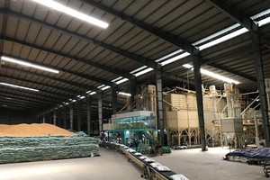 Tan Long's rice processing plant (Photo: VNA)