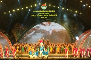 “The season of Dak Nong avocado’” program opens in Dak Nong province.