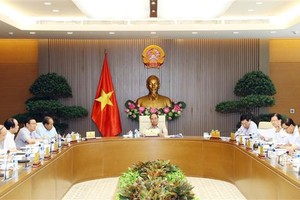 Overview of the meeting (Photo: VNA)