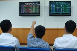 Investors follow stock movements at FPT Securities Company (FPTS) in Hanoi (Photo: VNA)
