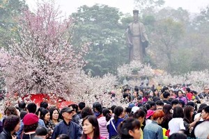 Annual Cherry Blossom Festival to return to Hanoi in March