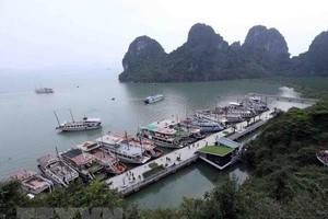A corner of Ha Long Bay - Illustrative image (Source: VNA)