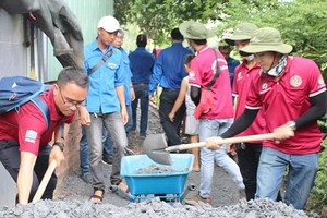 Young volunteers repair a concrete alley in Binh Chanh district. (Photo: Sggp)