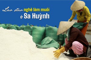 Sa Huynh salt farmers endure falling prices