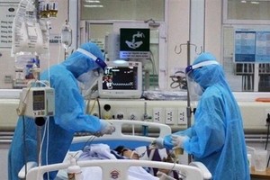 Medical workers tend to a COVID-19 patient (Photo: VNA)