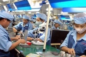 Illustrative photo (Source: VNA)