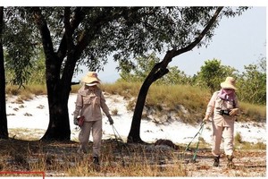 Members of the female landmines clearance team are working in Kim Long village in Hai Lang District’s Hai Que Commune, Quang Tri Province. (Photo: SGGP)
