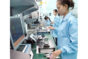  Employees are working at Datalogic Scanning Vietnam LLC in the Saigon Hi-Tech Park. (Photo: SGGP)