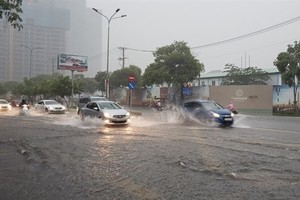 HCM City has drawn up 56 projects and plans to adapt to climate change (Photo: VNA)