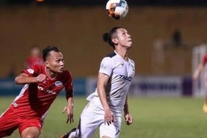 At a V-League match (Photo: VNA)