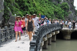International visitors to Vietnam fall sharply.