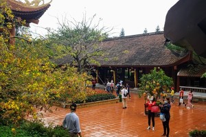 Majestic beauty of Sacred Yen Tu Mountain