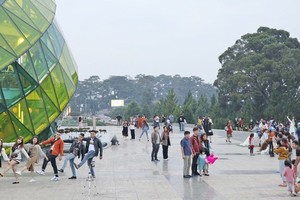 Da Lat City’s tourism industry increasingly revived